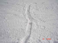 655 about 1 1/2-2" of snow