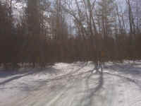 IMG00429.jpg (679271 bytes)