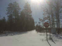IMG00451.jpg (562242 bytes)